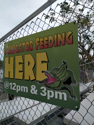 Tourist Attraction «Everglades Alligator Farm», reviews and photos, 40351 SW 192nd Ave, Florida City, FL 33034, USA