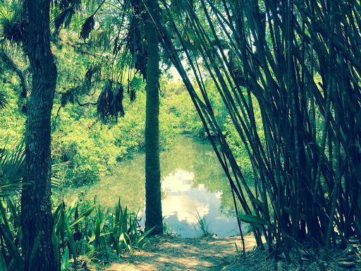 Nature Preserve «Koreshan Preserve», reviews and photos, 3891 Broadway W, Estero, FL 33928, USA