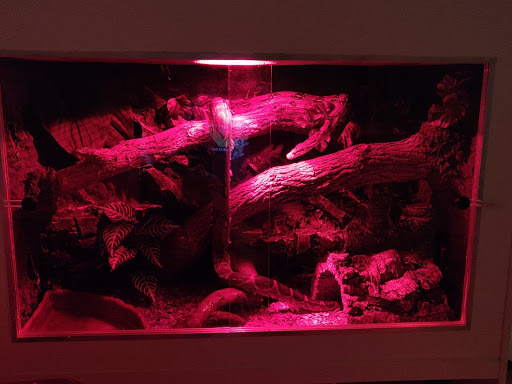 Pet Supply Store «Lacey Pet Supply», reviews and photos, 441 Lacey Rd, Forked River, NJ 08731, USA