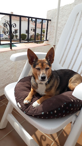 Clínica Veterinaria San Fernando en Nerja
