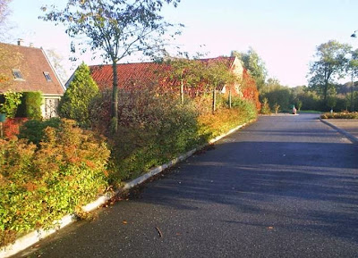 Pépinières de L'Ardrésis à Nielles-lès-Ardres