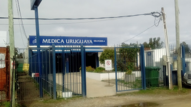 Medica Uruguaya Shangrila