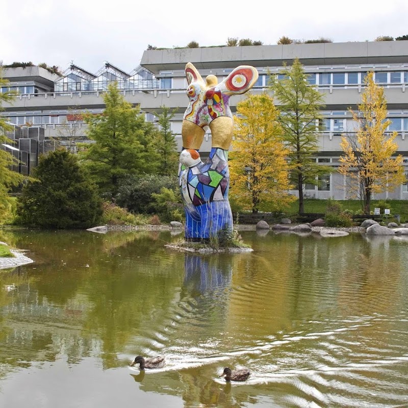 Universitätsklinikum Ulm Zentrum für Innere Medizin