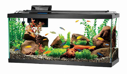Yes My Nature Aquariums, Agriculture and Garden Store