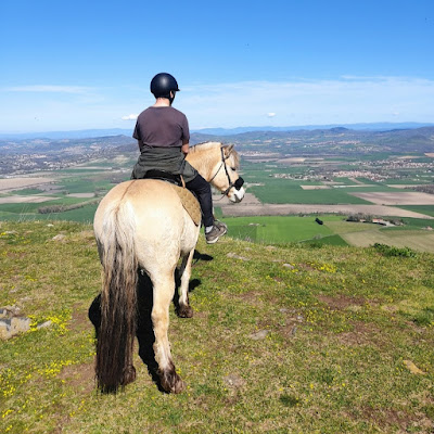 Espace Equestre de Lapiota - Balade à cheval, promenade en main, randonnée et médiation animale à Saint-Sandoux
