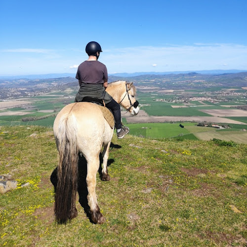 Espace Equestre de Lapiota - Balade à cheval, promenade en main, randonnée et médiation animale à Saint-Sandoux