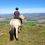 Espace Equestre de Lapiota - Balade à cheval, promenade en main, randonnée et médiation animale Saint-Sandoux