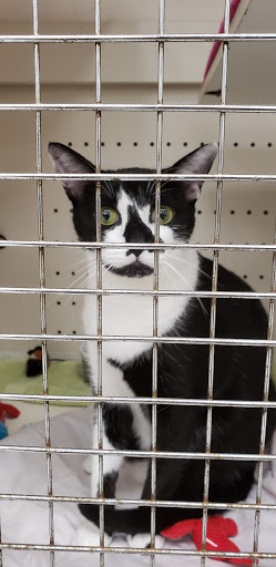 Pet Supply Store «Petco Animal Supplies», reviews and photos, 8111 W Broward Blvd, Plantation, FL 33324, USA