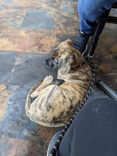 Coffee Shop «Zoka Coffee Roasters and Tea Company», reviews and photos, 129 Central Way, Kirkland, WA 98033, USA