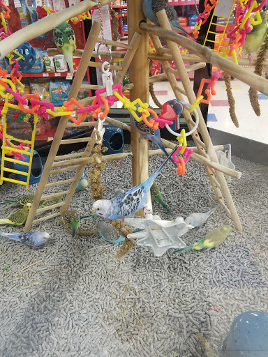 Pet Supply Store «Petco», reviews and photos, 149 Gravois Bluffs Plaza Dr, Fenton, MO 63026, USA