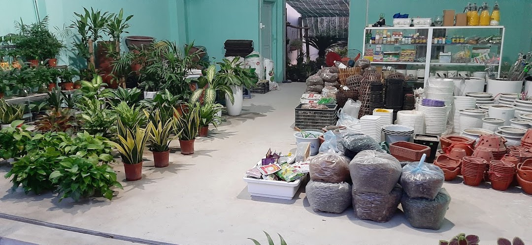 Shop hoa cây cảnh