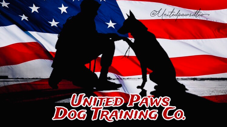 United Paws Dog Training Co.