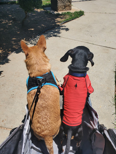 Park «Medal of Honor Park», reviews and photos, 1711 Hillcrest Rd, Mobile, AL 36609, USA