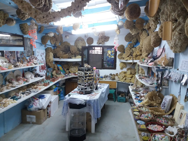 Νέα Κούταλη 814 00