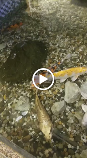 Wedding Venue «Floral Terrace», reviews and photos, 250 Jericho Turnpike, Floral Park, NY 11001, USA