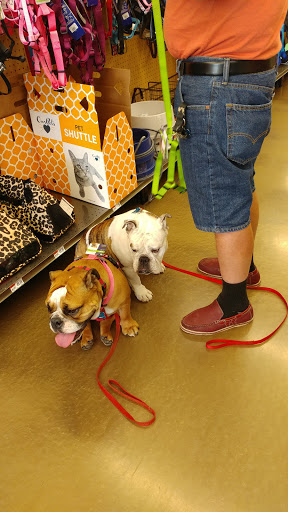 Pet Supply Store «Pet Supplies Plus», reviews and photos, 1237 Concord Pkwy N, Concord, NC 28025, USA
