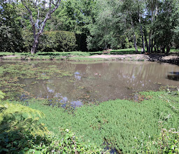 Silverhurst Trail photo