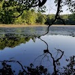 Metamora-Hadley Recreation Area