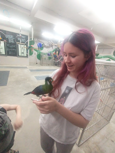 Bird Shop «Arizona Bird Store», reviews and photos, 565 S Dobson Rd, Mesa, AZ 85202, USA