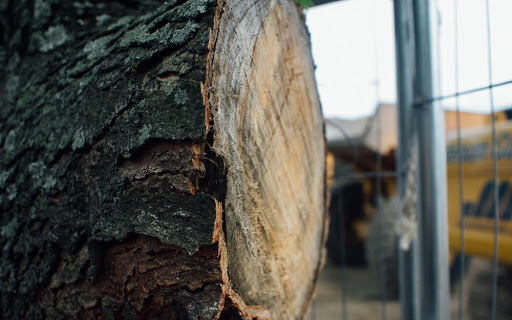 Book Store «Barnes & Noble», reviews and photos, 444 Broadway, Saugus, MA 01906, USA