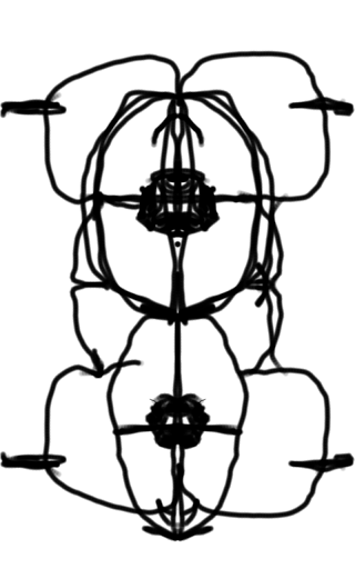 Used Car Dealer «Any Car USA», reviews and photos, 2510 Merchant Ave, Odessa, FL 33556, USA