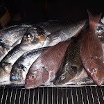 Photo n°2 de l'avis de Jessica.y fait le 22/08/2022 à 15:58 sur le  La Persiana à Livorno