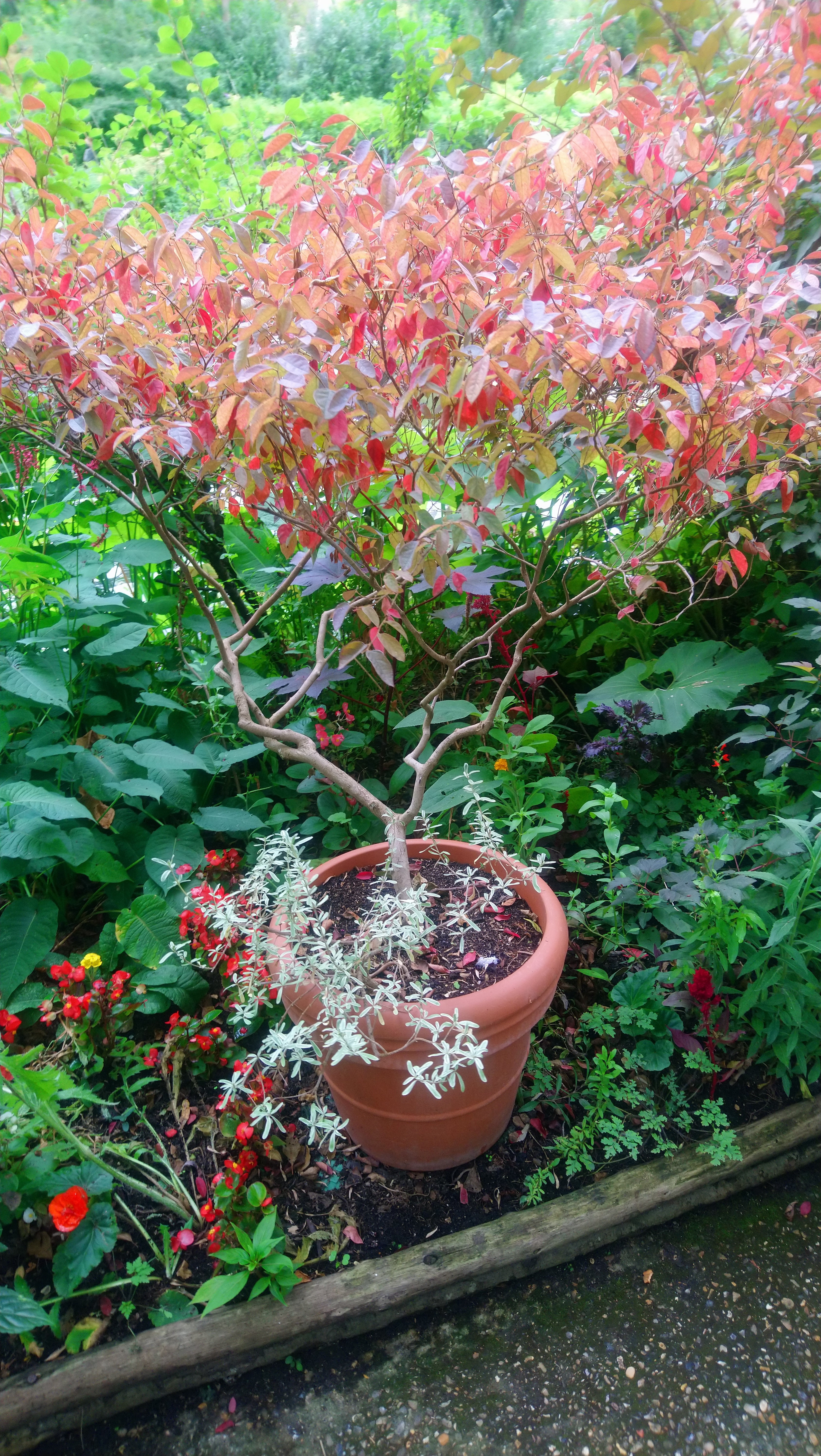 Photo n° 30 de l'avis de Angèle.K fait le 03/08/2020 à 11:24