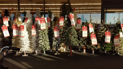 Craft Store «Hobby Lobby», reviews and photos, 1422 E Dixie Dr, Asheboro, NC 27203, USA