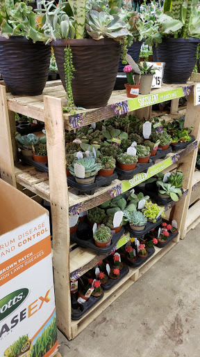 Home Improvement Store «The Home Depot», reviews and photos, 37000 Van Dyke, Sterling Heights, MI 48312, USA