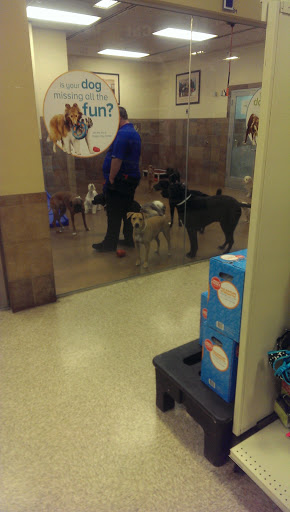 Pet Supply Store «PetSmart», reviews and photos, 1733 S Stapley Dr, Mesa, AZ 85204, USA