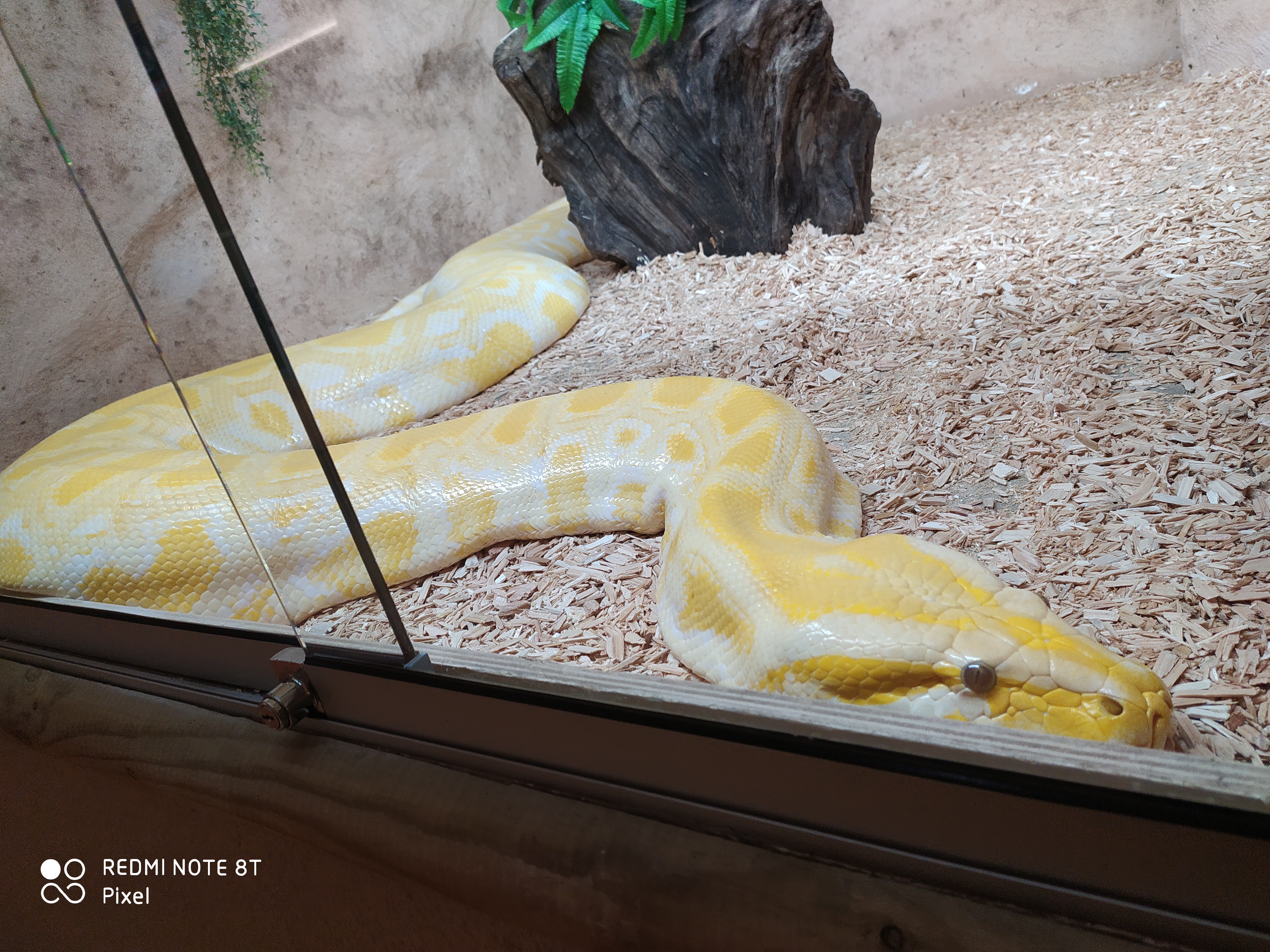 Photo n° 1 de l'avis de Carriere.a fait le 21/09/2020 à 09:40