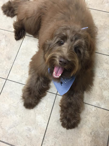 Pet Store «Earthwise Pet - Southlake», reviews and photos, 100 W Southlake Blvd #150, Southlake, TX 76092, USA