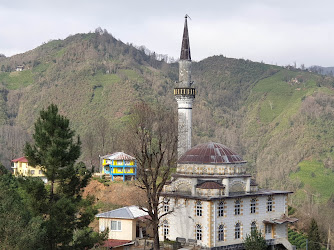 Yildizeli Köyü Muhtarliği