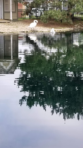 Coffee Shop «Starbucks», reviews and photos, 102 E Irving Park Rd, Itasca, IL 60143, USA