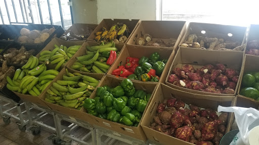 Supermarket «La Primera», reviews and photos, 6221 Ridge Rd, Port Richey, FL 34668, USA