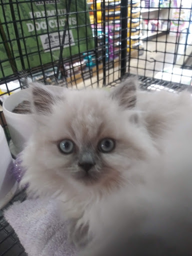 Pet Store «Whiskers Wings And Wild Things», reviews and photos, 1200 30th St NW, Canton, OH 44709, USA