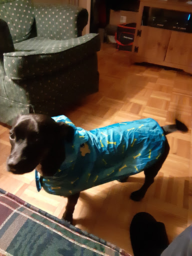 Pet Supply Store «PetSmart», reviews and photos, 358 Broadway, Saugus, MA 01906, USA