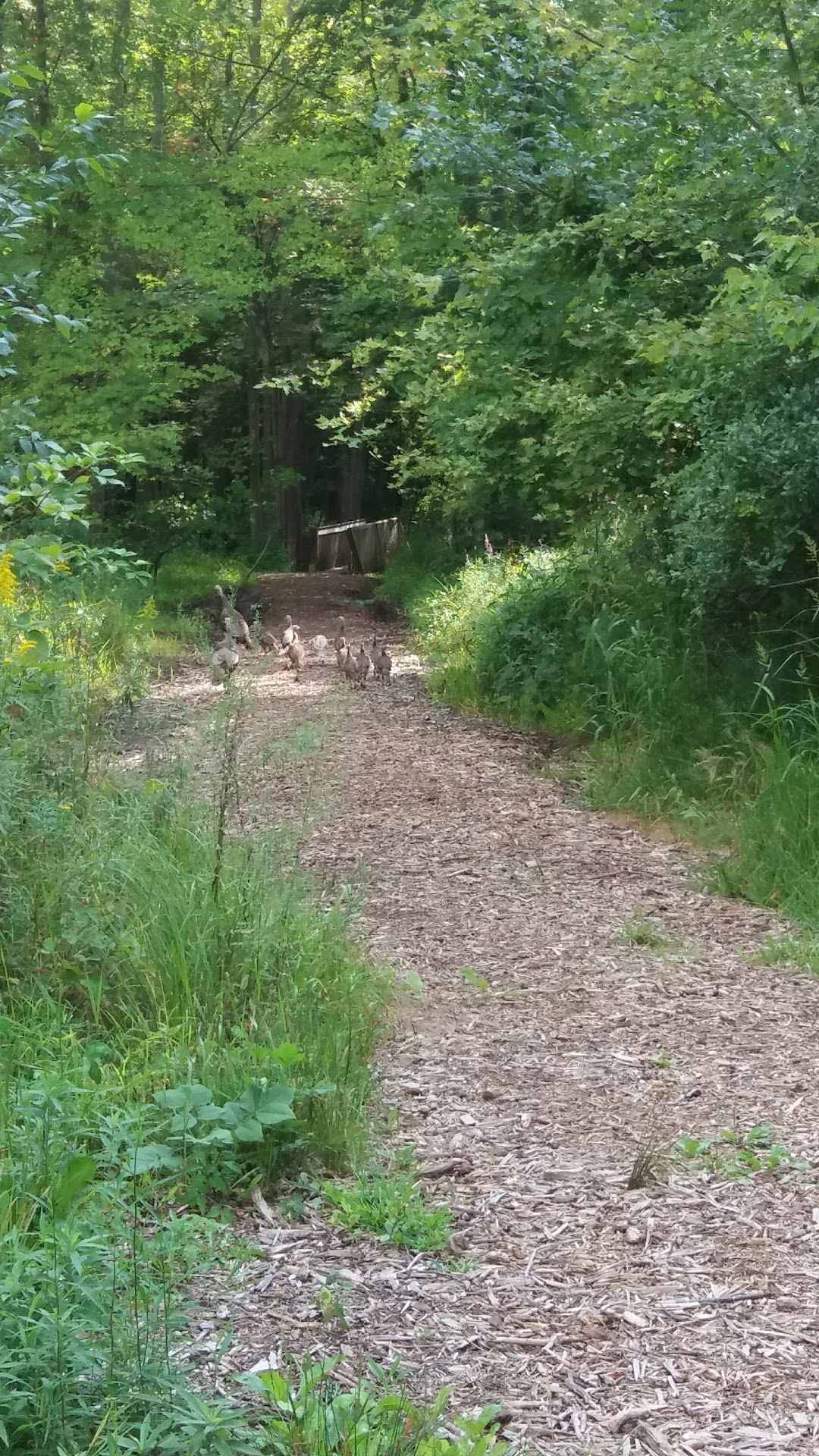 Woodland Park and Nature Preserve