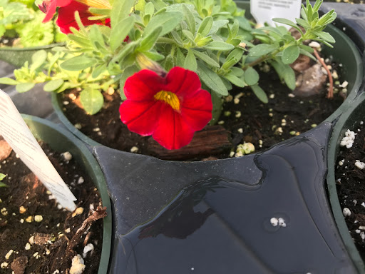 Garden Center «Lake Anna Nursery», reviews and photos, 71 Oak Grove Dr, Mineral, VA 23117, USA