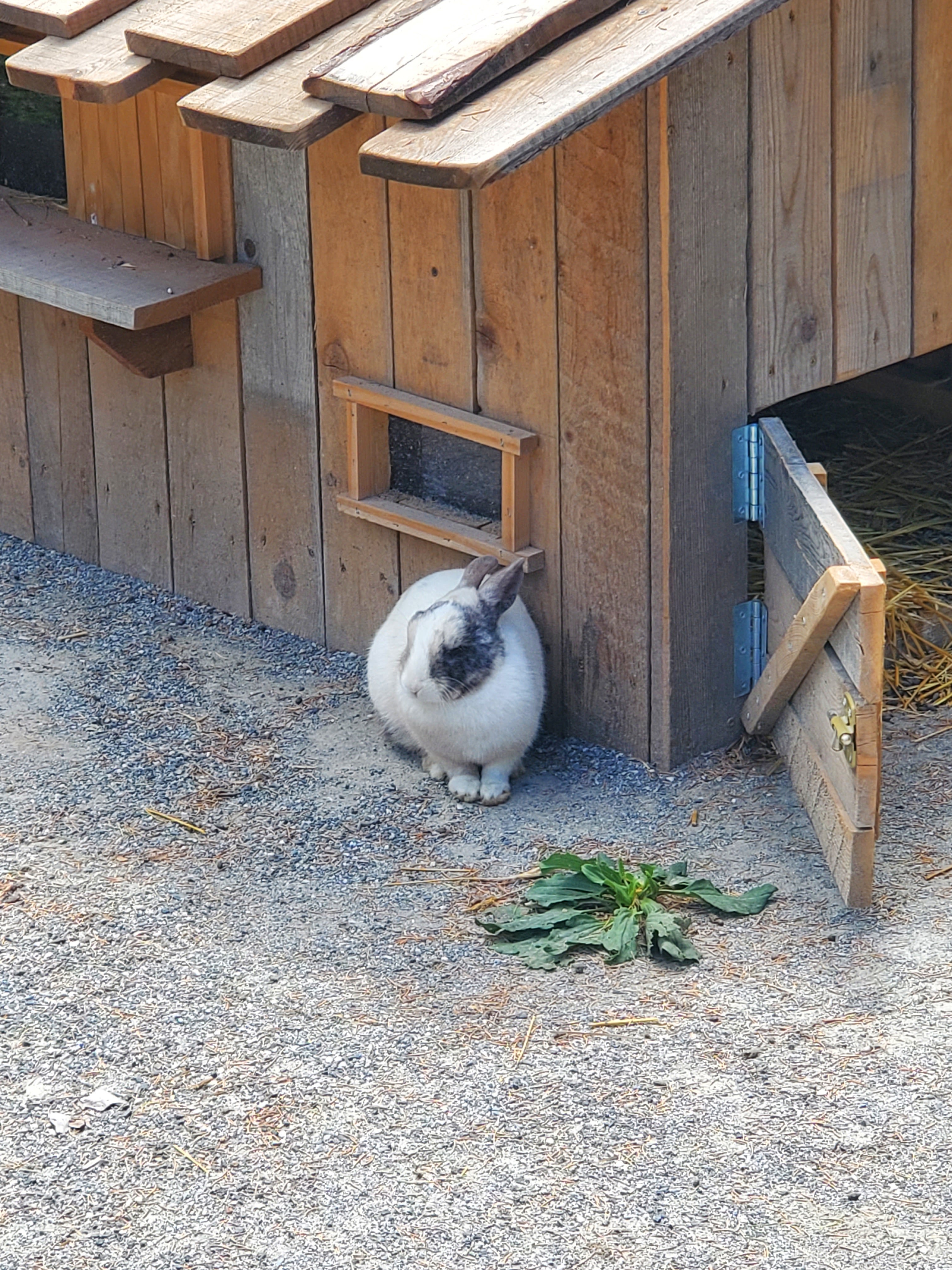 Photo n° 14 de l'avis de Lynda.e fait le 15/08/2023 à 10:47