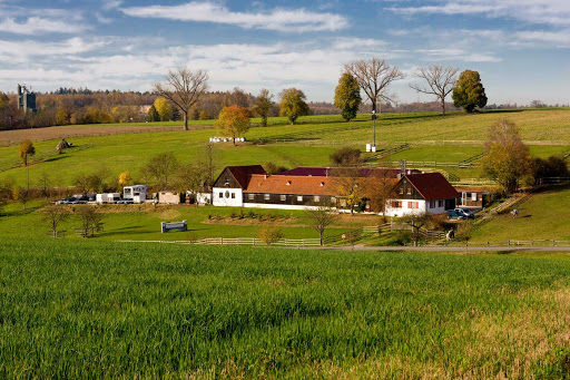 Tierärztliches Zentrum für Pferde in Kirchheim Altano GmbH unter Kirchheim unter Teck, Baden Württemberg