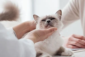 Millsap Veterinary Clinic image