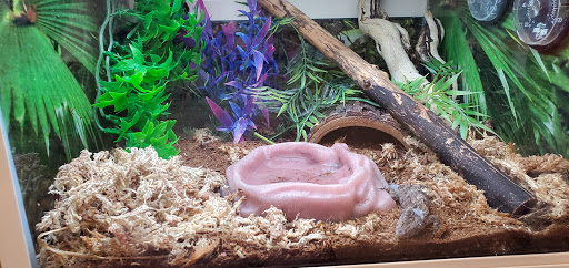 Pet Supply Store «PetSmart», reviews and photos, 1130 SE Everett Mall Way, Everett, WA 98208, USA