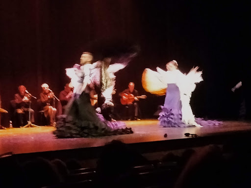 Imagen del negocio Conservatorio Profesional de Danza Maribel Gallardo en Cádiz, Cádiz