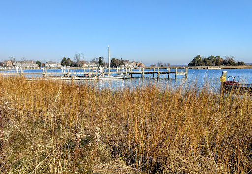 History Museum «Chesapeake Bay Maritime Museum», reviews and photos, 213 North Talbot Street, St Michaels, MD 21663, USA