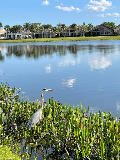 Country Club «Ironhorse Country Club», reviews and photos, 8055 Ironhorse Blvd, West Palm Beach, FL 33412, USA