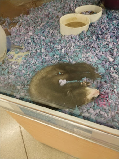 Pet Supply Store «Petco Animal Supplies», reviews and photos, 693 Middletown Warwick Rd, Middletown, DE 19709, USA