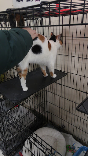 Pet Supply Store «Pet Supplies Plus», reviews and photos, 6159 Kalamazoo Ave SE, Grand Rapids, MI 49508, USA