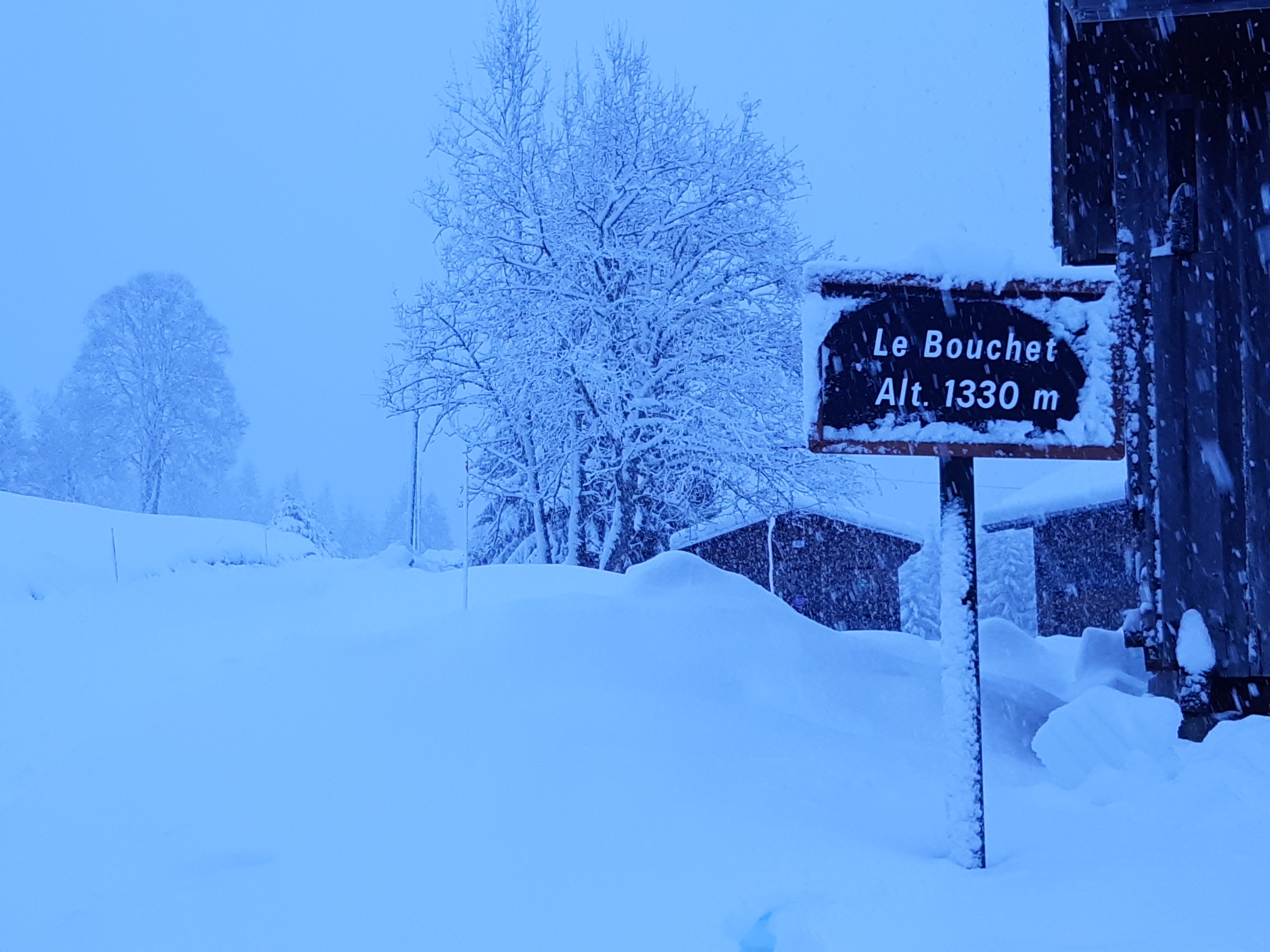 Photo n° 1 de l'avis de tihnga.b fait le 27/12/2019 à 08:36