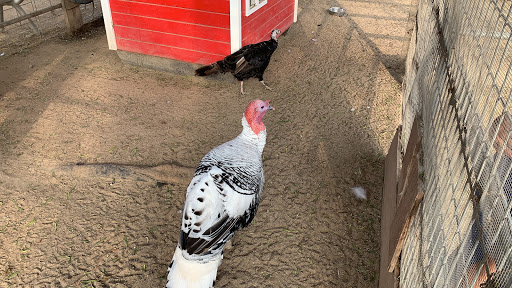 Produce Market «Underwood Family Farms», reviews and photos, 3370 Sunset Valley Rd, Moorpark, CA 93021, USA